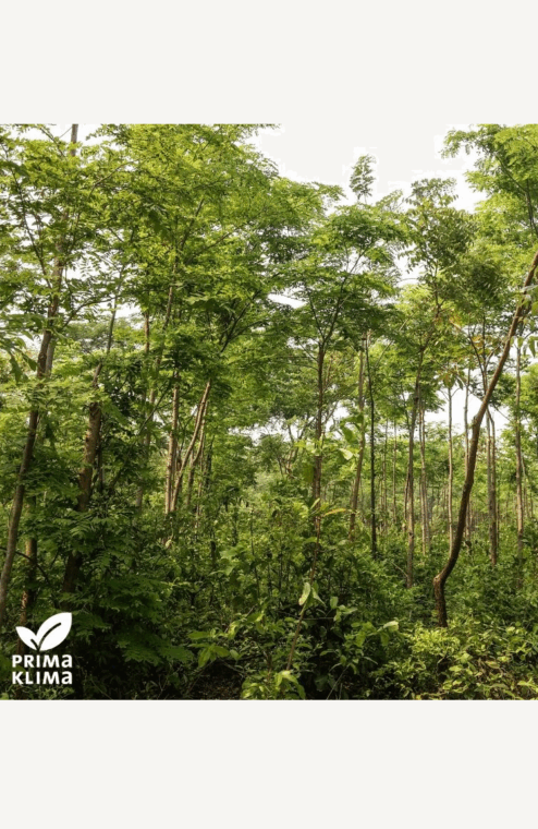 Für jede Restaurantbewertung einen Baum pflanzen Restaurant Wasem Kloster Engelthal in Ingelheim