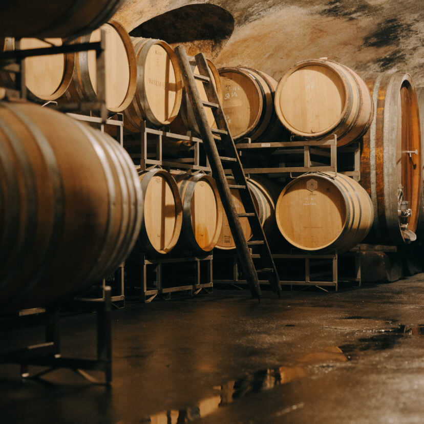 Weinerlebnisse für Ihre Tagung | Kellerführung im Weingut Wasem