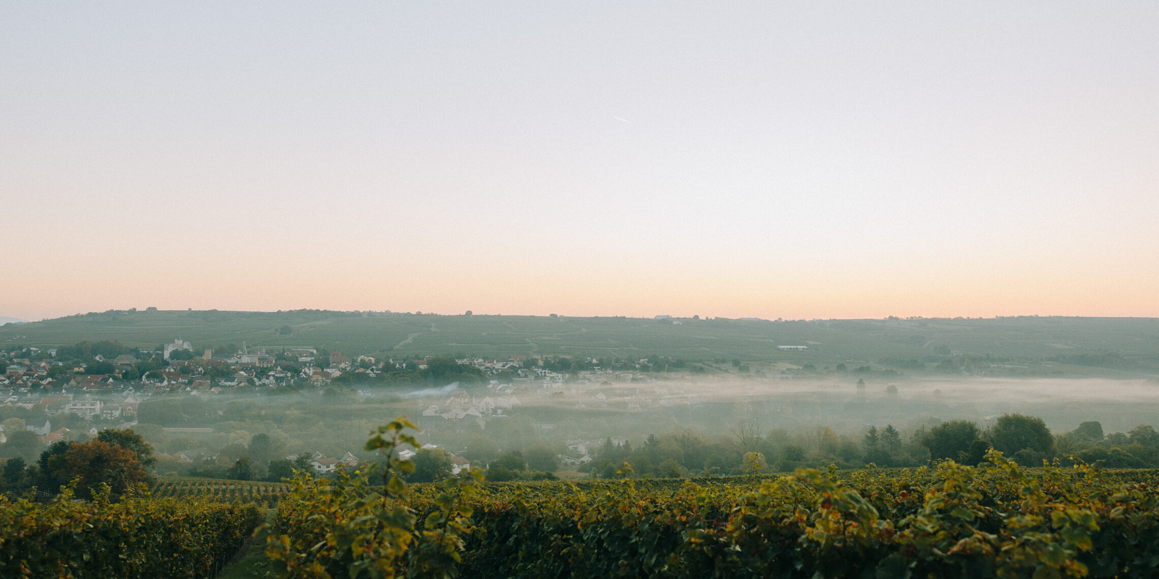 Traumhochzeit in den Weinbergen nähe Mainz und Wiesbaden